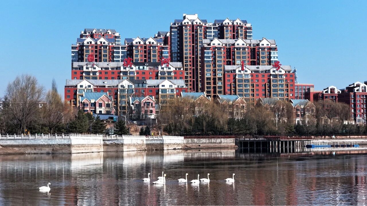 微信图片_2026-03-21_161433_448.jpg