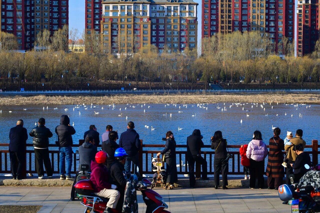 微信图片_2026-03-21_161445_114.jpg